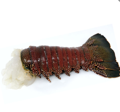 Frozen Lobster tail